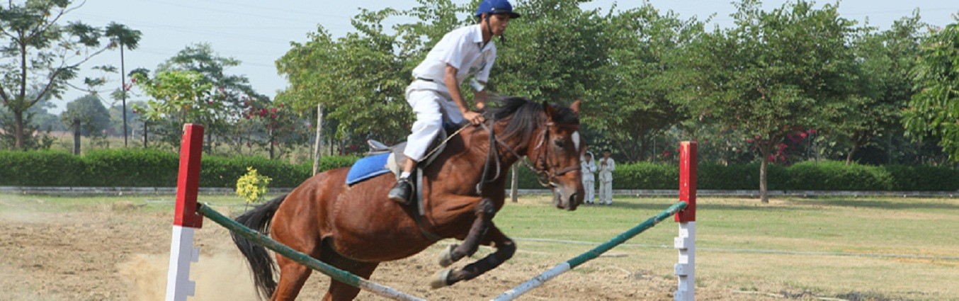 Delhi public school bahadurgarh